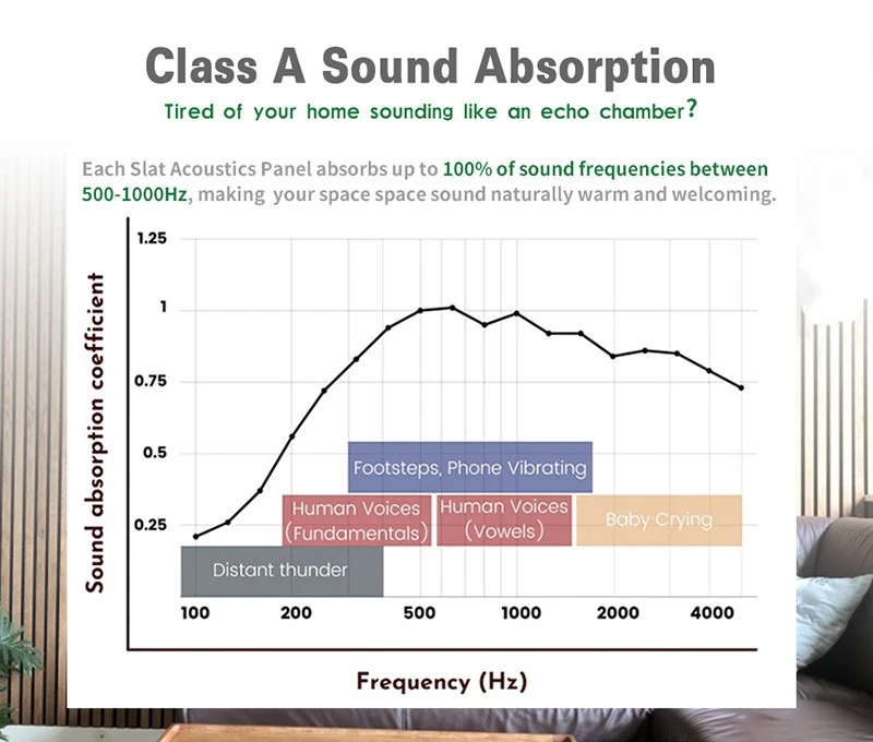 6 6
